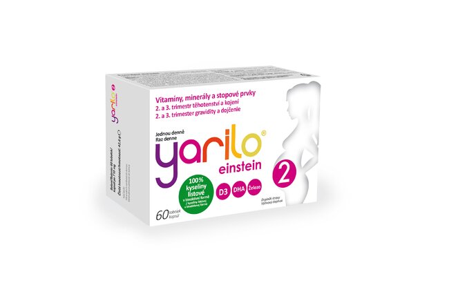 YARILO einstein 2 - 60 tobolek